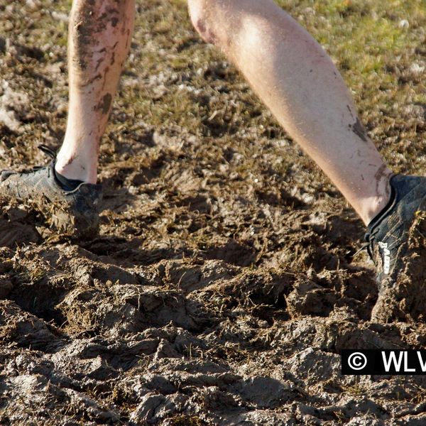 Baden-Württembergische Crosslauf-Meisterschaften am 15. Februar 2020 in Weinstadt