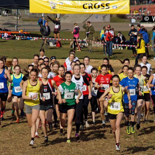 Baden-Württembergische Crosslauf-Meisterschaften am 15. Februar 2020 in Weinstadt