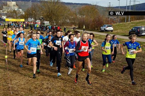 Baden-Württembergische Crosslauf-Meisterschaften am 15. Februar 2020 in Weinstadt