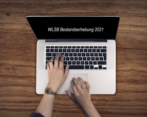 WLSB-Bestandserhebung - Eingabeschluss 31. Januar 2021